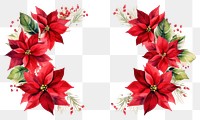 PNG  Christmas festive poinsettia frame christmas flower plant. 