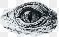 PNG Detailed reptile eye illustration