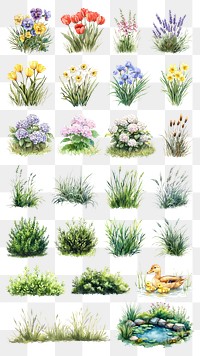 PNG spring garden element set, transparent background