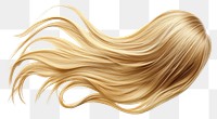 PNG Long flowing blonde hair