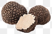 PNG Gourmet black truffles on display