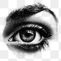 PNG Detailed monochrome eye illustration