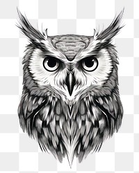 PNG Owl celestial drawing animal sketch.