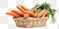 PNG Carrots in a basket vegetable plant food.