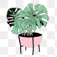 PNG Monstera plant drawing cartoon sketch.