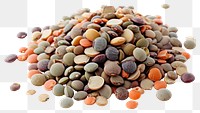 PNG Lentils beans vegetable food 