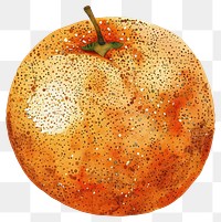 PNG A orange fruit grapefruit produce device.