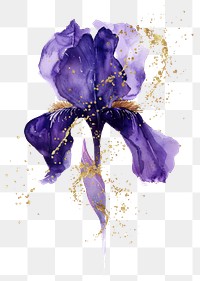 PNG A purple iris blossom flower person.