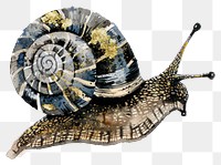 PNG A snail invertebrate animal smoke pipe.