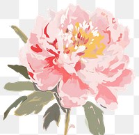 PNG Blossom flower plant peony.