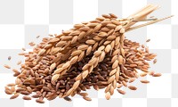 PNG Rice brown food seed.