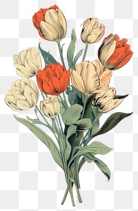 PNG Flower art painting drawing.