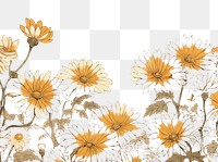 PNG Daisy isolated flower backgrounds sunflower.