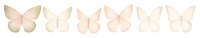 PNG Butterflies as divider watercolor accessories accessory blossom.