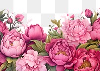 PNG Peony line horizontal border backgrounds pattern flower.