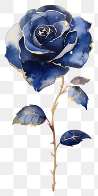 PNG Indigo rose flower plant white background.