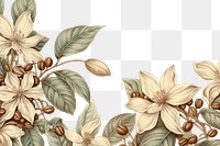 PNG Vintage drawing of coffee flower backgrounds pattern.