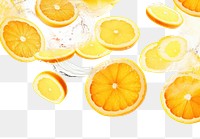 PNG Photo of flying citrus slices backgrounds grapefruit lemon.