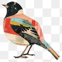 PNG Bird shape collage cutouts illustration decorative blackbird.