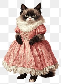 PNG Ragdoll cat costumes wearing Fairy Tale Princess Dress dress illustration painting.