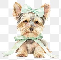 PNG Yorkshire Terrier dog terrier animal canine.