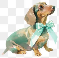 PNG Dachshund dog accessories accessory animal.