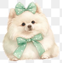 PNG Pomeranian dog tie accessories accessory.