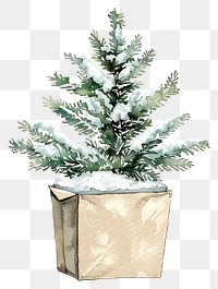 PNG Snowy pine tree in pot