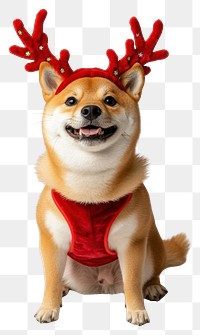 PNG Shiba inu wearing a red deer antlers headband on head dog costume cute.