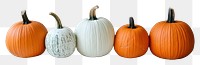 PNG Real pumpkins background orange white.