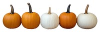 PNG Real pumpkins background autumn orange.