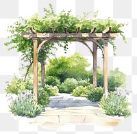 PNG Pergola garden illustration watercolor.