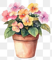 PNG Flower Potted Plant flowers plant illustration.