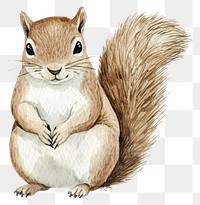 PNG Squirrel squirrel art illustration.