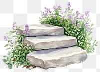 PNG Stepping Stones illustration watercolor flowers.