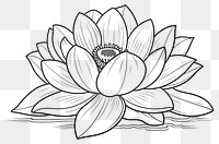 PNG Lotus flower art illustration.