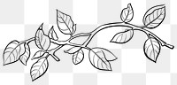 PNG Leave branch art illustration drawing.