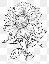 PNG Sunflower art illustration drawing.