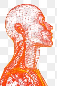 PNG Human body wireframe design illustration.