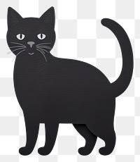 PNG Cat black animal mammal pet.