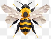 PNG Bee animal insect hornet.