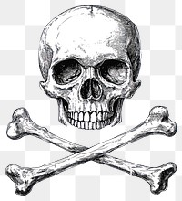 PNG Skull over crossed bones drawing vintage art.