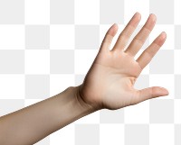 PNG Fingers hand background human.