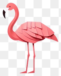 PNG Flamingo animal bird gray background.