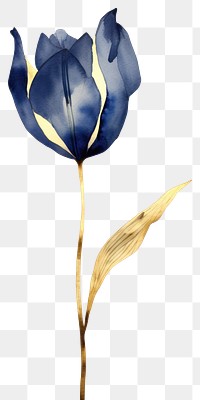 PNG Indigo tulip flower petal plant.