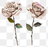 PNG Ephemera paper rose art background newspaper.