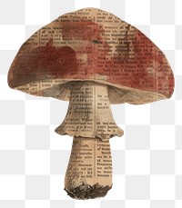 PNG Ephemera paper red mushroom newspaper vintage art.