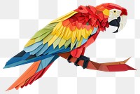 PNG Parrot animal bird white background.