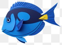 PNG Royal blue tang animal fish white background.