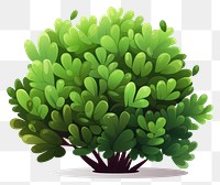 PNG Cartoon boxwood shrub bush illustration green plant.